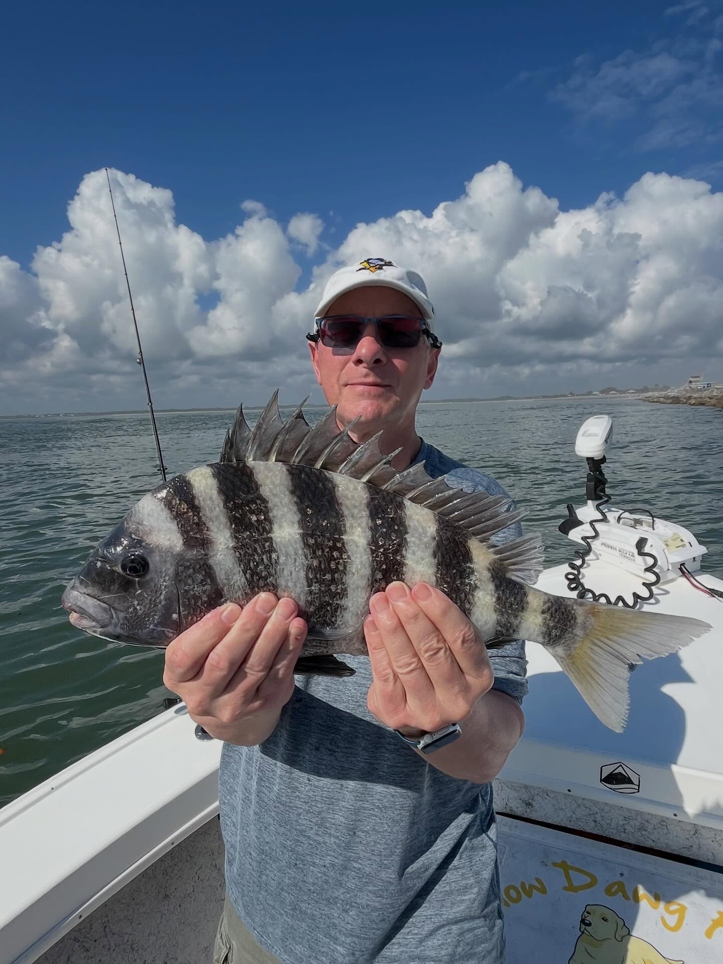 Trophy sheepshead at the inlet
